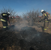 За неделю с Новосибирске произошло 56 пожаров с двумя пострадавшими