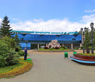 Новосибирский зоопарк возобновил продажу билетов в кассах