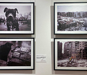 Мэр Кудрявцев посоветовал новосибирцам сходить выставку фотографий из ДНР