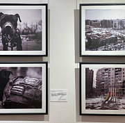 Мэр Кудрявцев посоветовал новосибирцам сходить на выставку об СВО