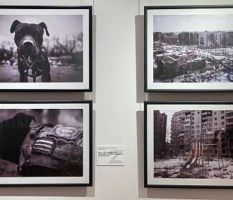 Мэр Кудрявцев посоветовал новосибирцам сходить на выставку об СВО