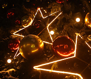 Главную городскую ёлку высотой 21 метр установят в Театральном сквере