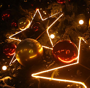 Главную городскую ёлку высотой 21 метр установят в Театральном сквере