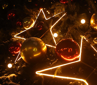 Главную городскую ёлку высотой 21 метр установят в Театральном сквере