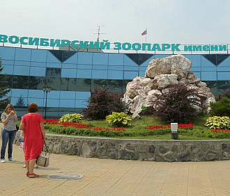 Вольеры на месте сгоревших построят к весне 2026 года — директор зоопарка