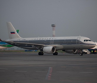 С больной коронавирусом пассажиркой в Новосибирск летели 106 человек