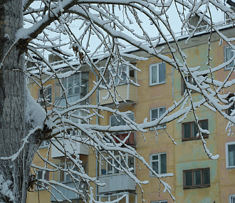 Аномальное тепло в Новосибирске сохранится до января