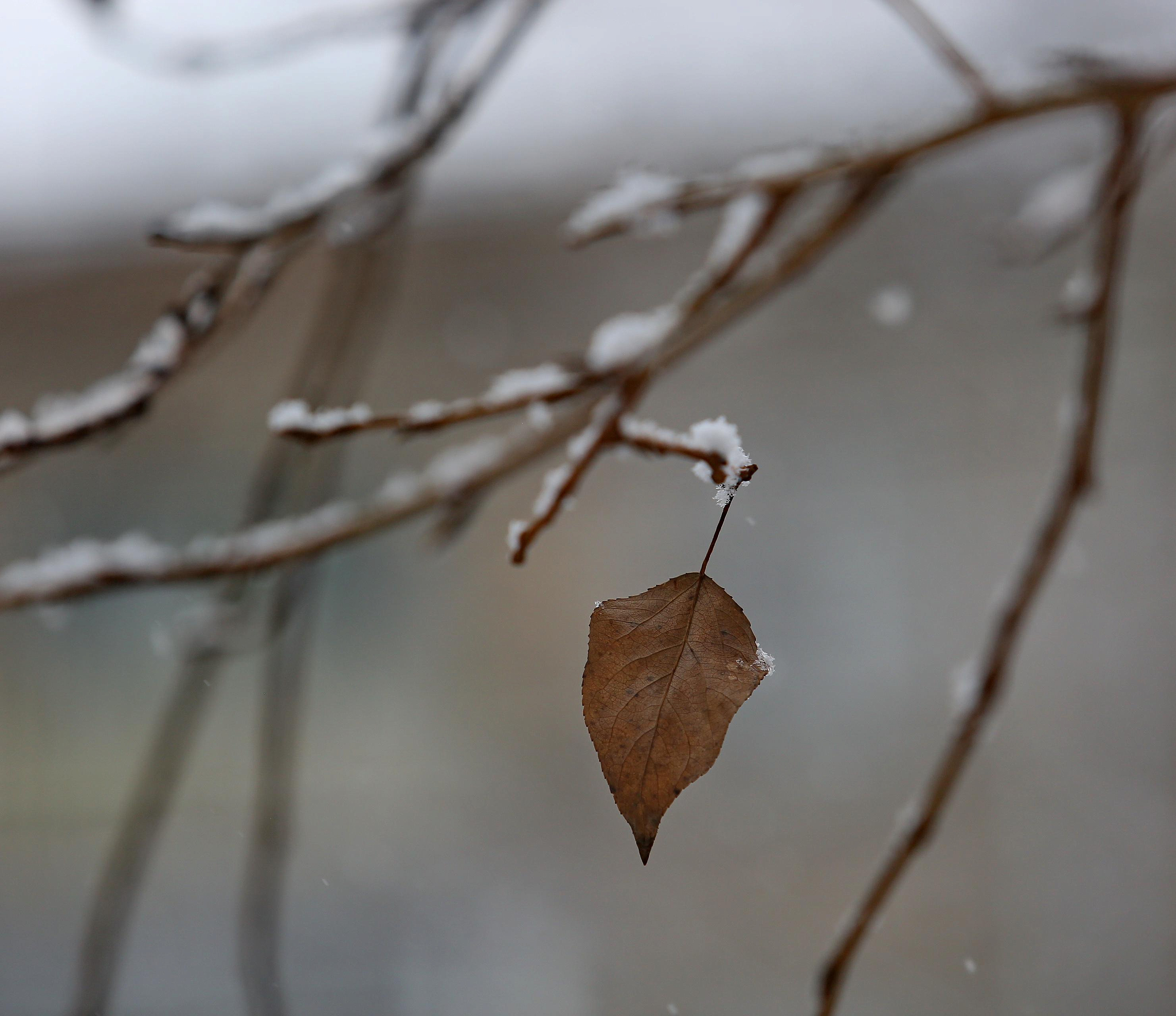 Потепление придёт на смену 28-градусному морозу в Новосибирске