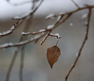 Потепление придёт на смену 28-градусному морозу в Новосибирске