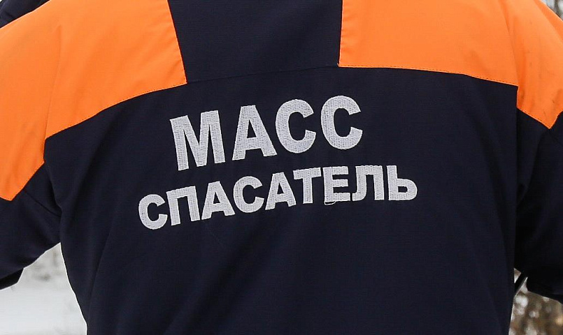 Спасатели с помощью спредера вытащили застрявшего в дереве мальчишку