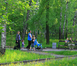 Большие амбиции: зачем в Новосибирске создали единую дирекцию парков