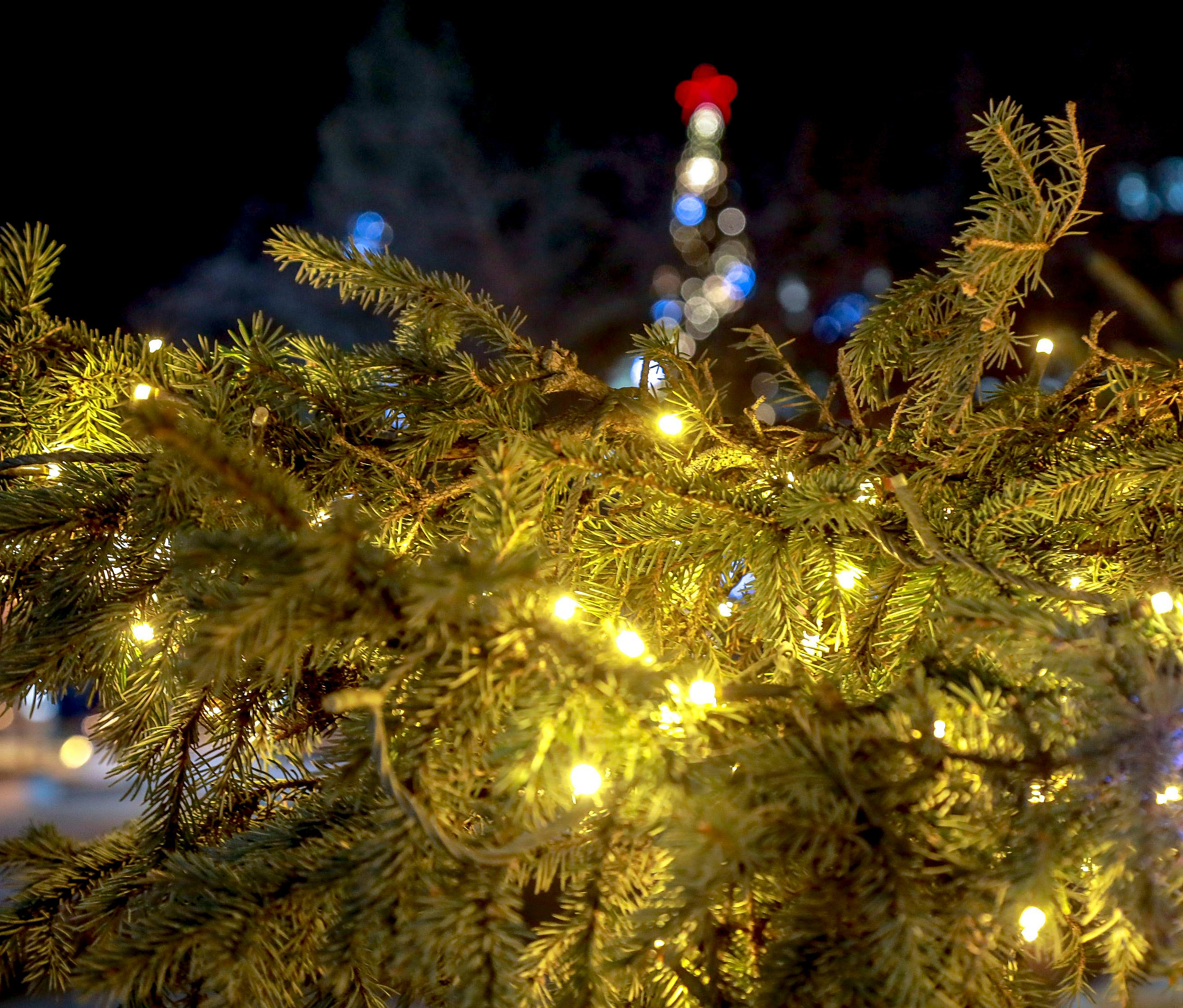 600-метровые гирлянды украсят Первомайский и Театральный скверы