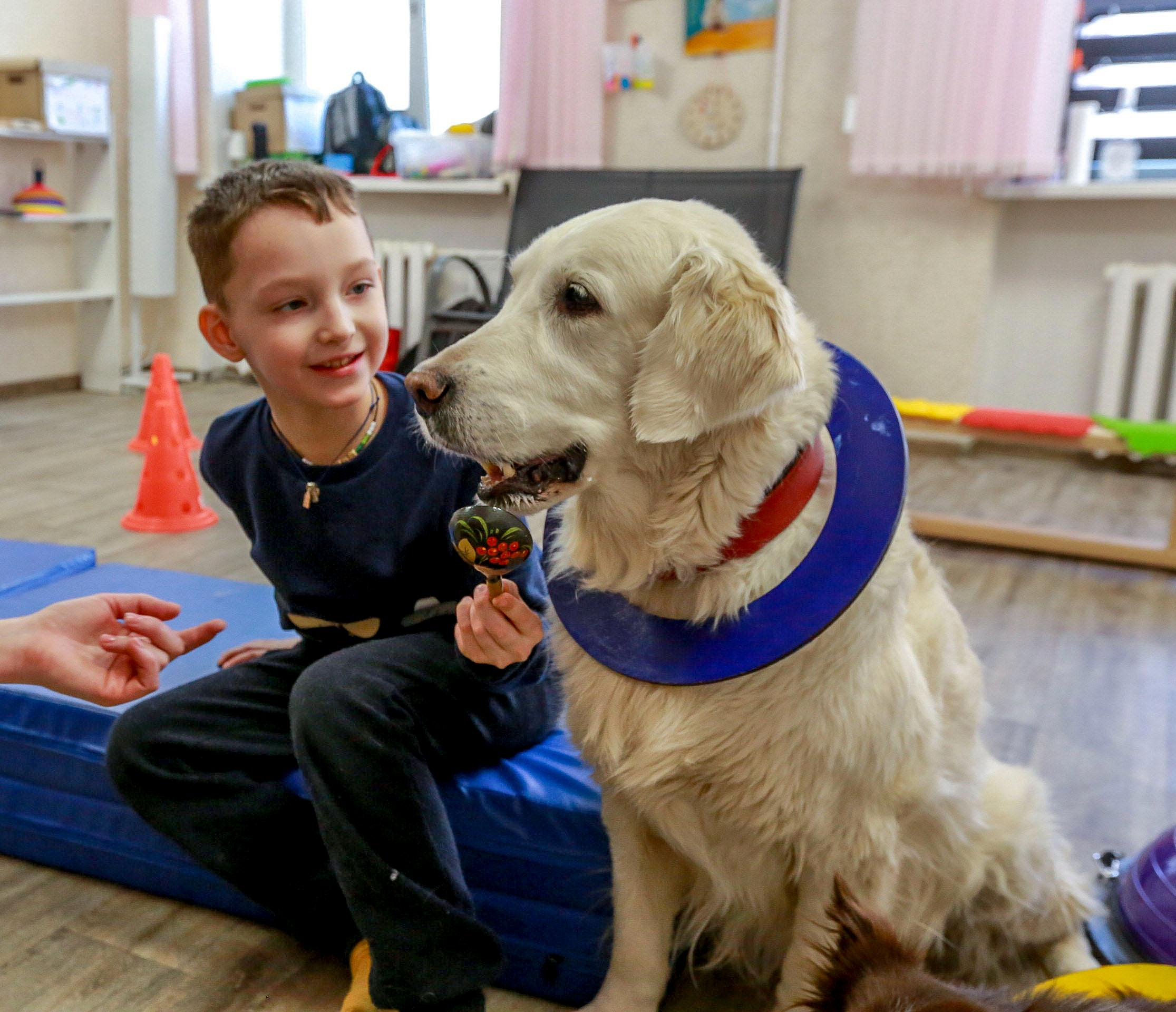 Терапевты с хвостами: как четыре собаки в Новосибирске лечат детей