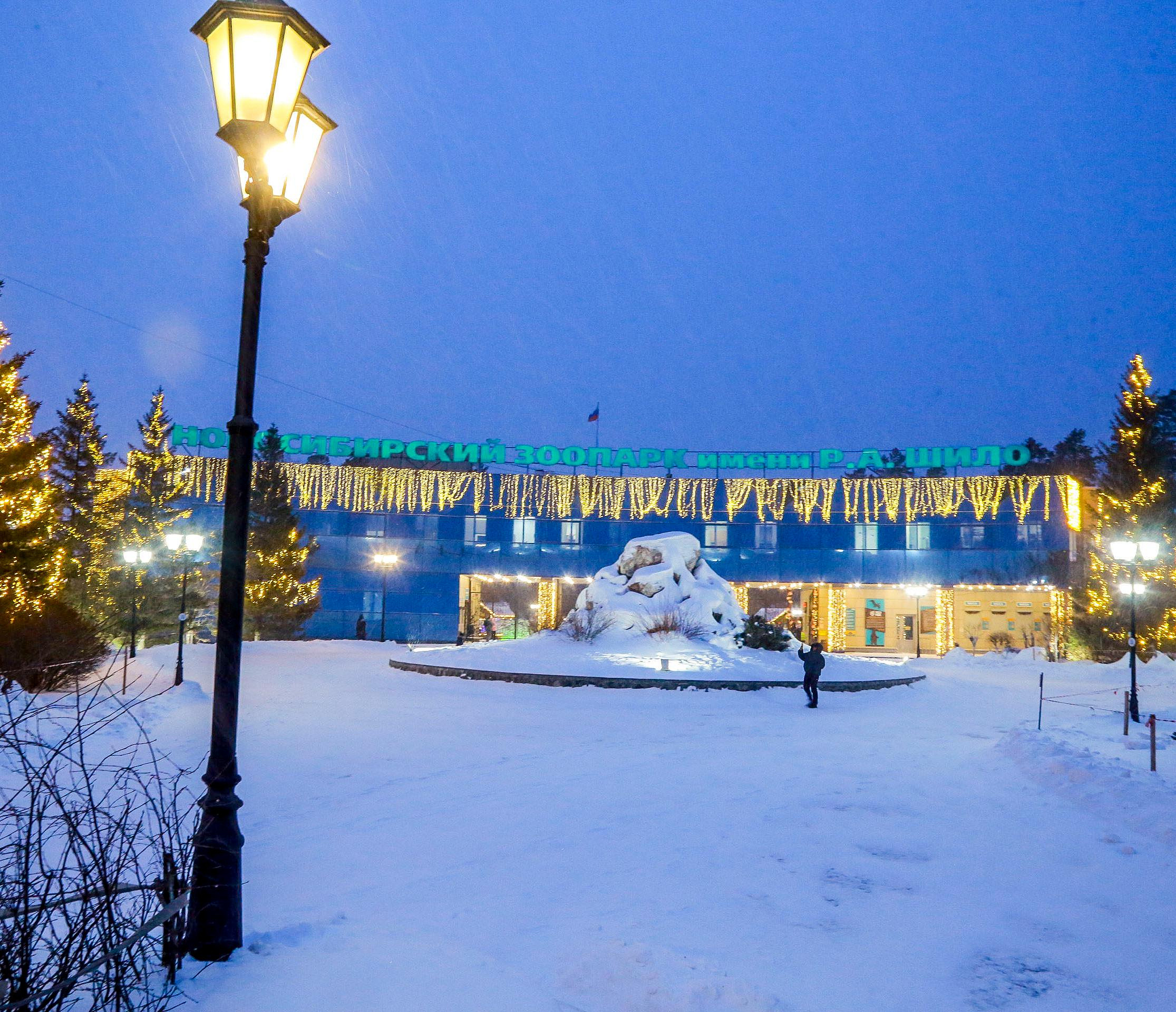 В Новосибирске ищут монтажников отопления в доме для карликовых бегемотов