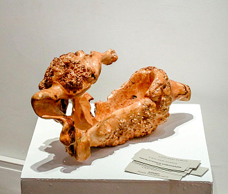 Красота леса: волшебные изделия из дерева выставили в ЦК19