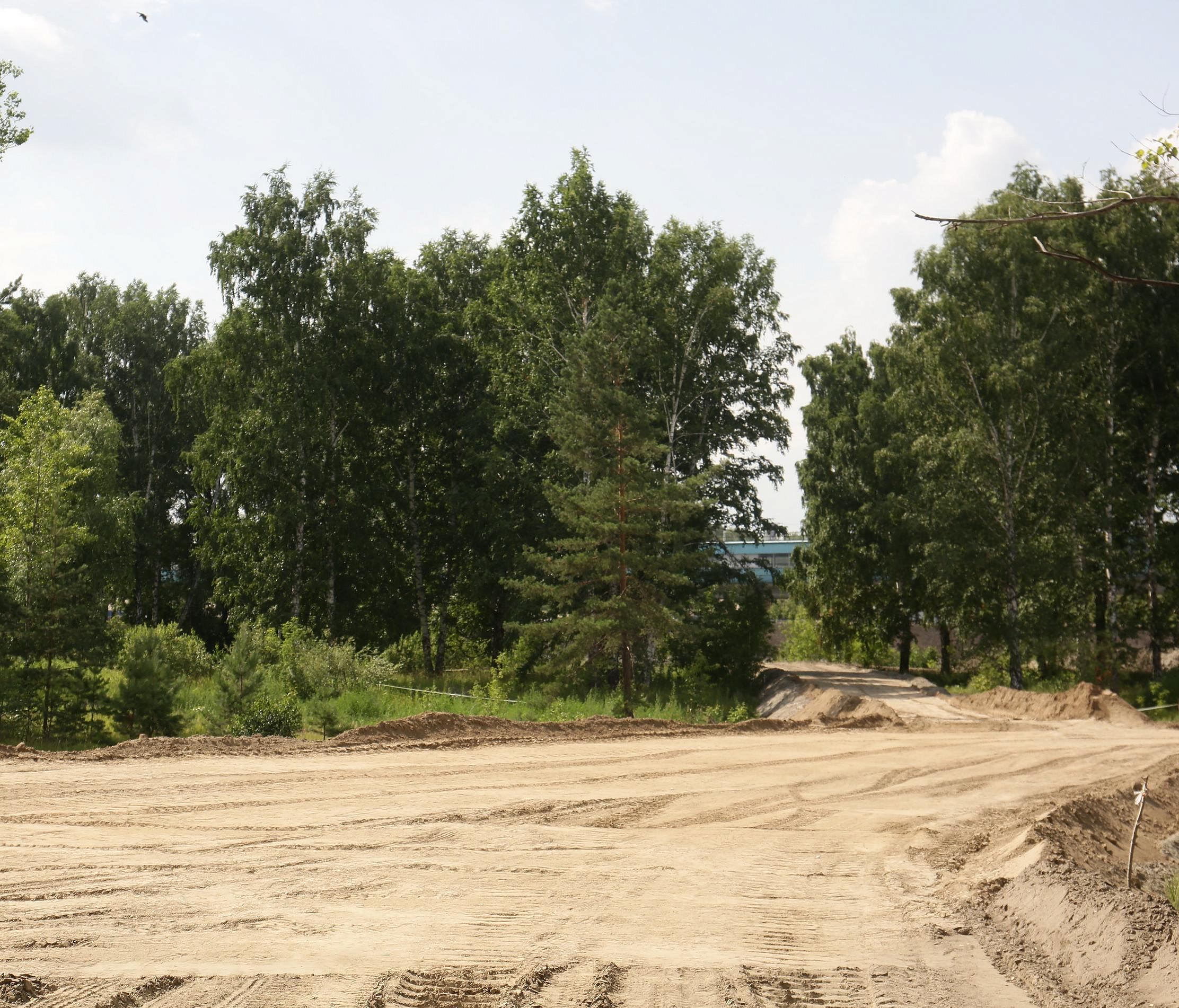 Зелёным зонам Новосибирска добавили ещё 26 гектаров