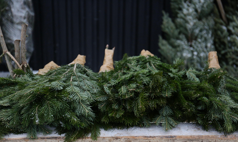 Мэр Кудрявцев рассказал, где откроют ёлочные базары в Новосибирске