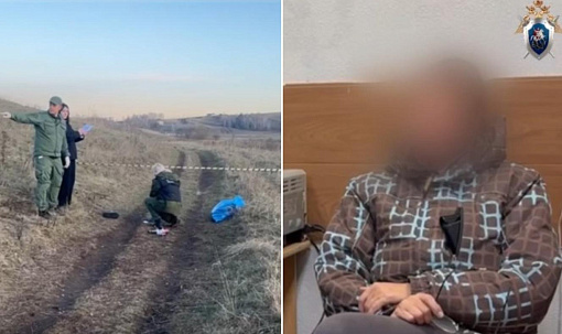 Мёртвого ребёнка с укусами нашли в сибирском поле: позиция зоозащитников