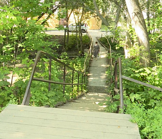 Парк, как нью-йоркский Хай-Лайн, появится в Академгородке