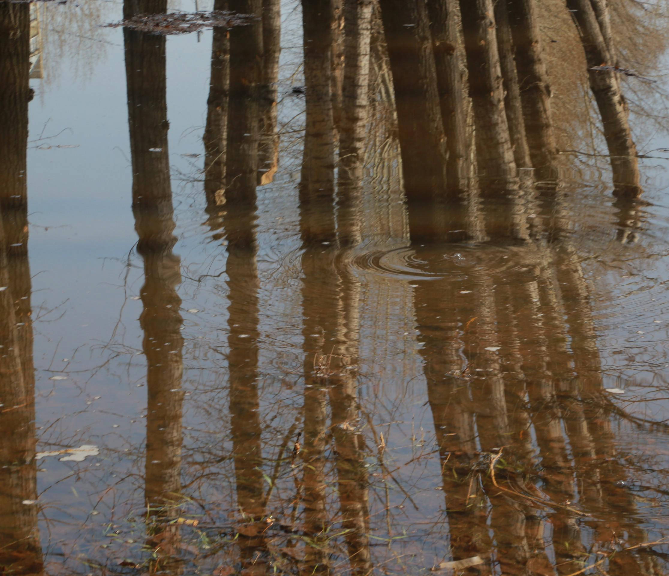 Талые воды затопили дороги в пяти районах Новосибирской области