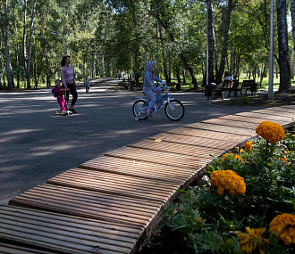Благоустройство сада Дзержинского заложат в бюджет города на 2026 год