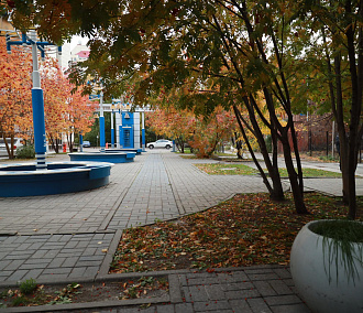 Глава консерватории Стародубцев поблагодарил мэра за благоустройство