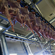 Дефицит курятины в Новосибирске прокомментировал минпромторг региона