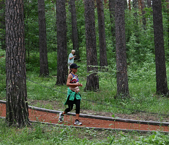 Какой парк признан лучшим в Новосибирске — итоги народного голосования