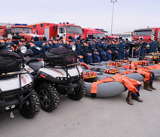 30 новосибирских студентов помогут пожарным тушить леса