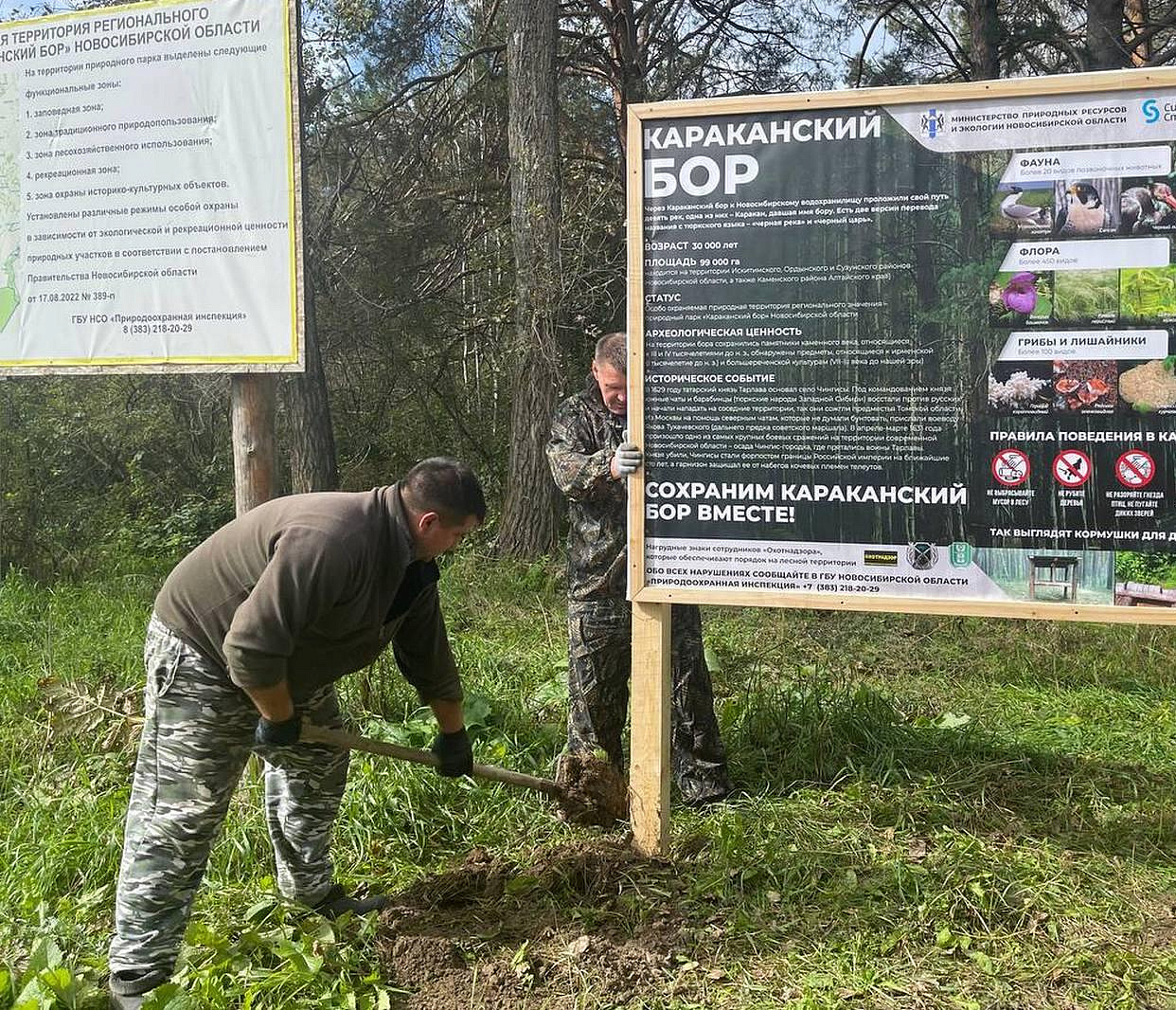 Теперь не заблудишься: в Караканском бору появились таблички-указатели