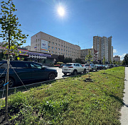Новые липы взамен сломанных вандалом высадили у Центрального парка