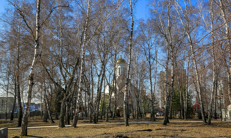 15 скверов, бульваров и аллей благоустроят за лето в Новосибирске