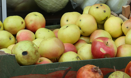 Яблоко от яблони: как выбирать и где хранить