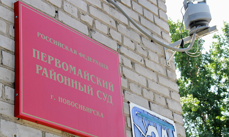 Сибирячка придумала себе детей в Москве и угодила в колонию