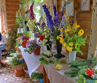 «Увидела пионы — спать не могла»: участница выставки растений в Новосибирске