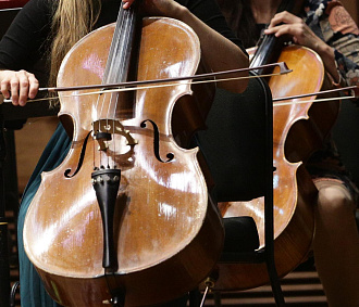 Струнный квартет сыграет Вивальди в гипермаркете «Лента» на Петухова