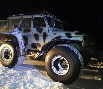 Браконьеры на вездеходе УАЗ убили пять косуль в Новосибирской области