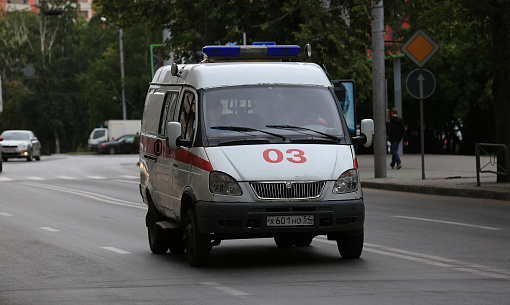 Клещи заразили энцефалитом 69 жителей Новосибирской области