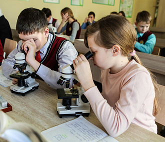 49 школ Новосибирска начнут учебный год в смешанном формате