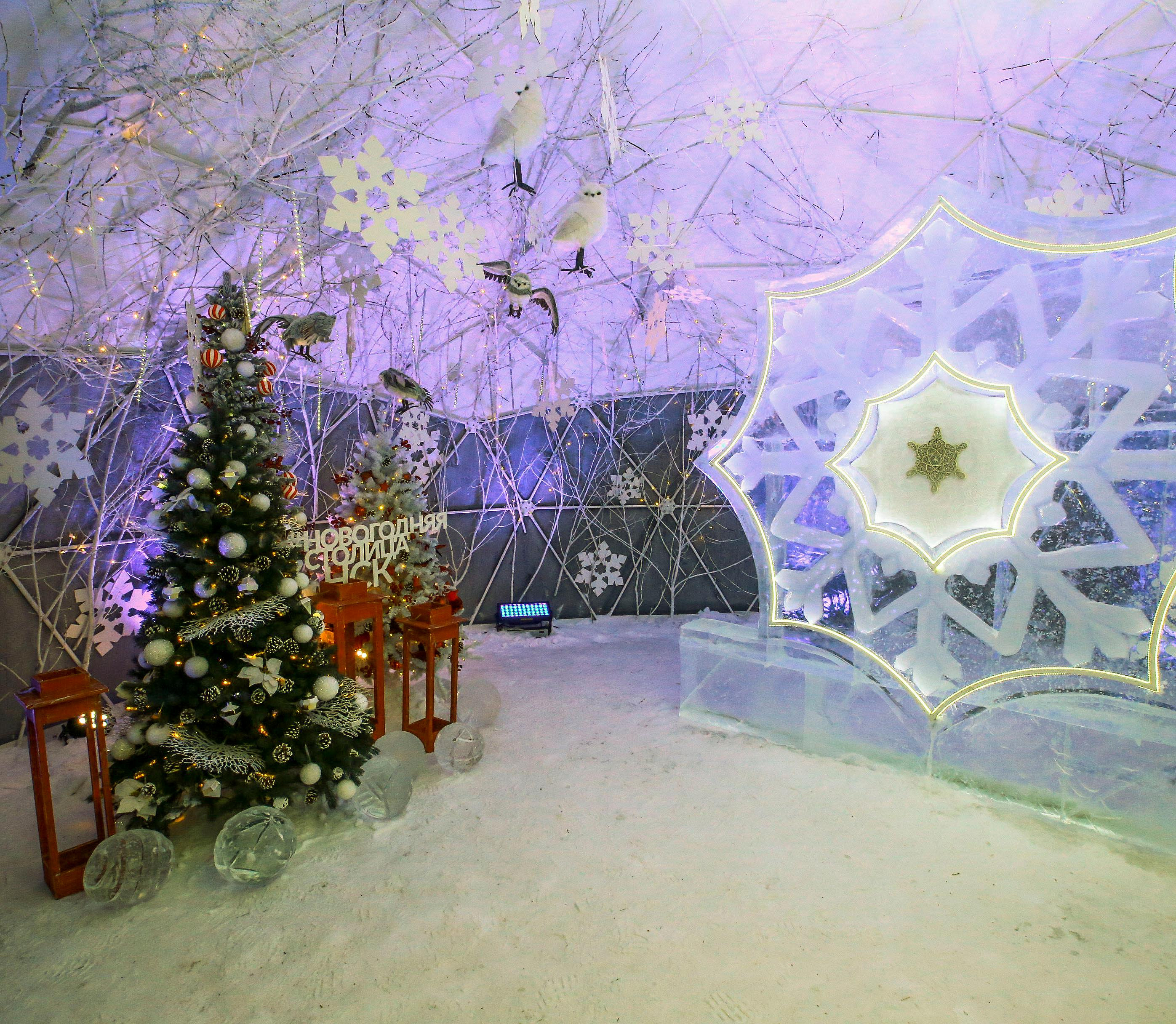 Новосибирск представит в Москве «Новогоднюю столицу России»