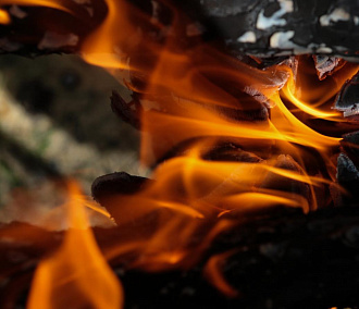 В Новосибирске подскочило количество пожаров из-за пала травы