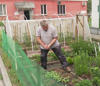Кусочек дачи: новосибирец выращивает овощи под окнами двухэтажки