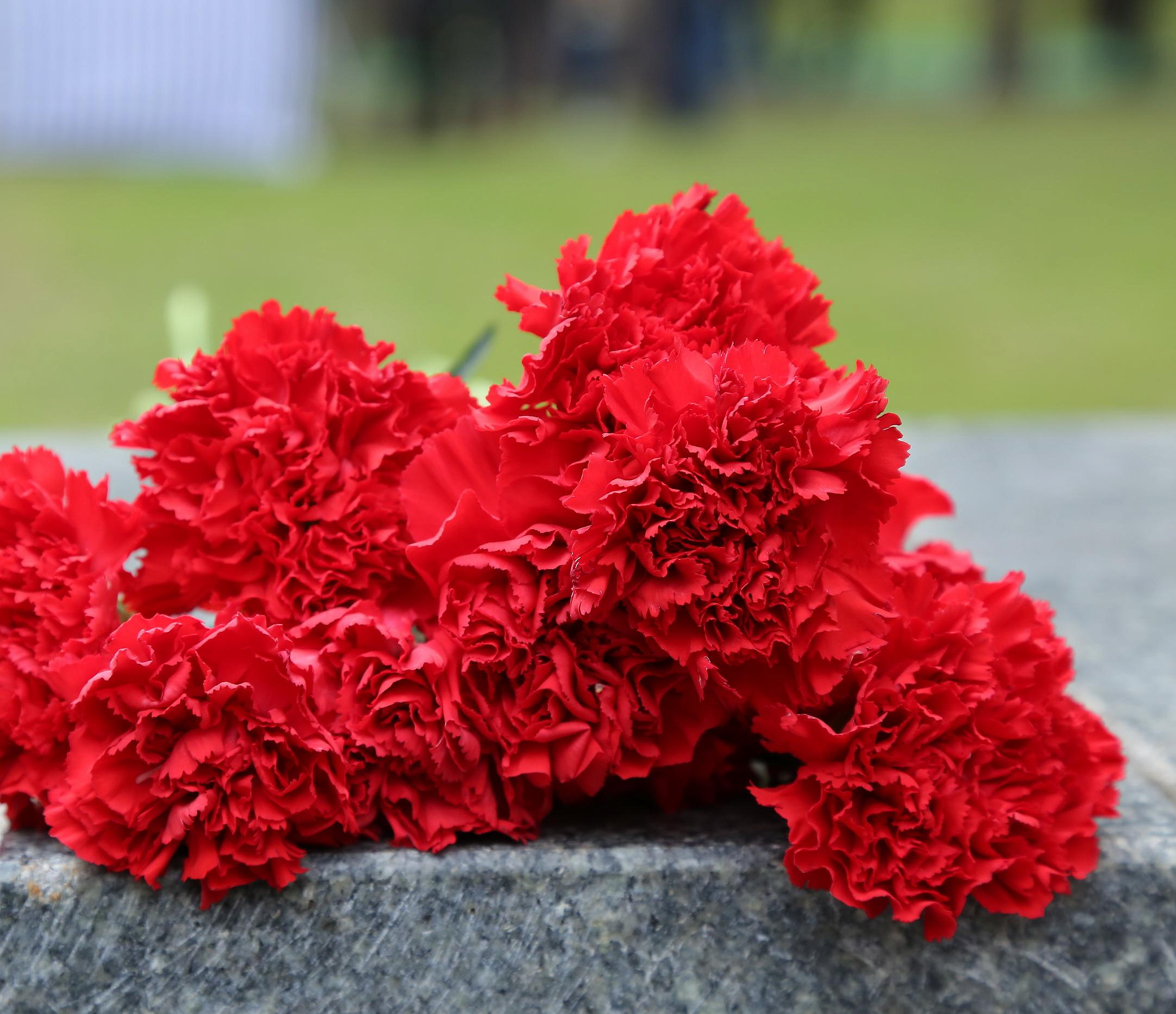 Мэр Кудрявцев: проститься с главой Ленинки пришли сотни новосибирцев