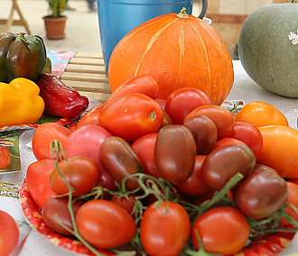 Как правильно питаться осенью: ценные советы от новосибирского диетолога