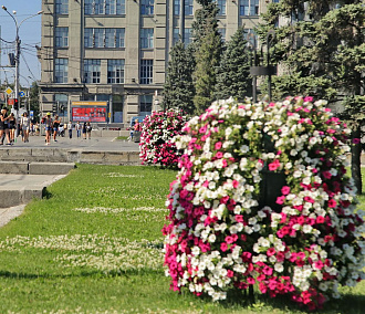 700 тысяч цветов украсили Новосибирск этим летом
