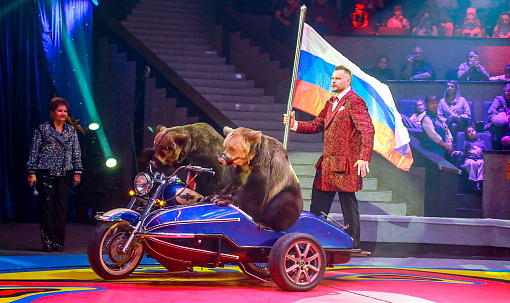 Синтез иллюзии, клоунады и дрессуры: цирк Филатовых приехал в Новосибирск