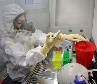Где в Новосибирске сдать анализы на антитела к COVID-19 и ПЦР-тесты