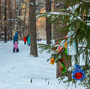 Декабрь в пределах нормы прогнозируют в Новосибирске синоптики
