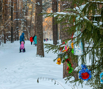 Декабрь в пределах нормы прогнозируют в Новосибирске синоптики