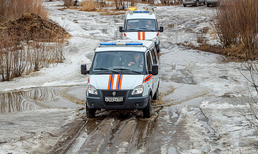 Гулявших по льду восьмерых детей спасли в Новосибирске